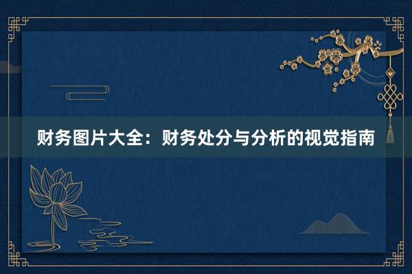 财务图片大全：财务处分与分析的视觉指南