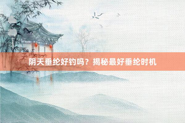 阴天垂纶好钓吗？揭秘最好垂纶时机